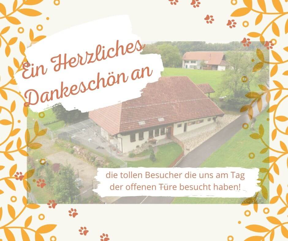 Tierheim Boehler