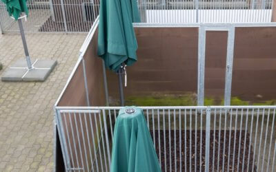 Neue Schnitzelplätze im Aussenbereich für unsere Hunde