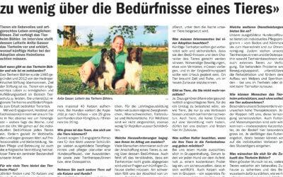 Tierheim Boehler in den Zeitungen