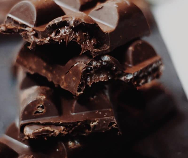 Schokolade – Gefahr für Haustiere